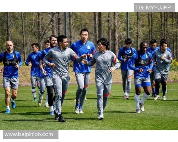 南京足球队耐力对比深度剖析揭示球队竞技状态与训练效果