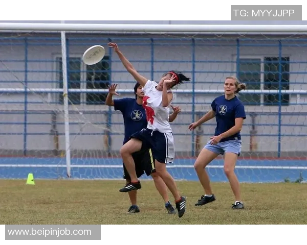 城市马拉松赛评析北京飞盘队展现卓越耐力与团队精神