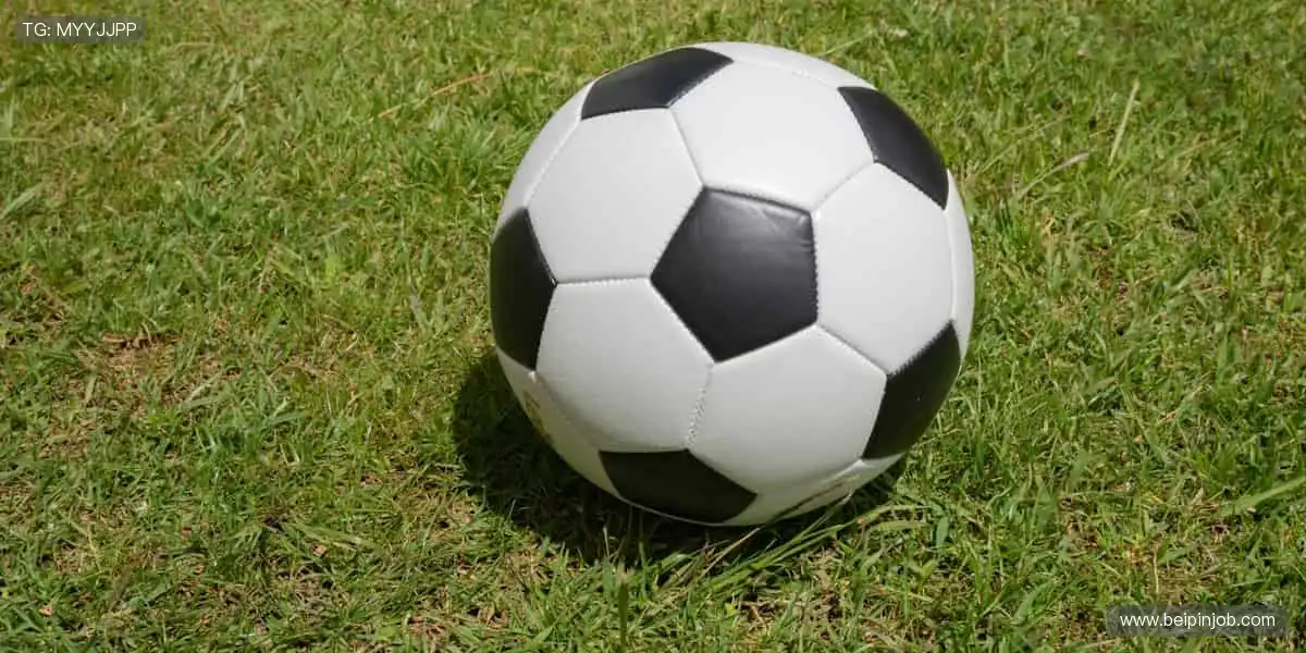 🎮 互动直播,和千万球迷一起嗨!