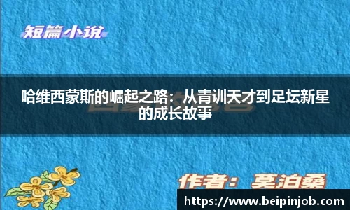 星空·综合体育中国官网