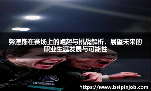 努涅斯在赛场上的崛起与挑战解析,展望未来的职业生涯发展与可能性